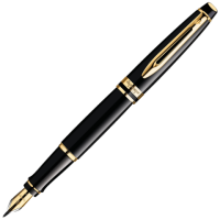 Waterman Expert - Black GT, перьевая ручка, F