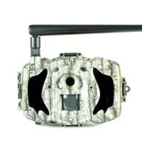 Bolyguard MG984G-36M