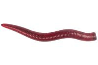 Мягк.приманки LureMax CURLY WORM 2,5''/3,5см, LSCL25-019 Blood Red (20 шт.)