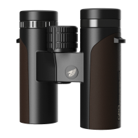 PASSION ED 10x32 Brown