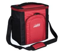 Термосумка AVS TC-20 (20 л)