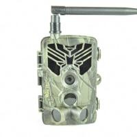 Филин 800 ММС