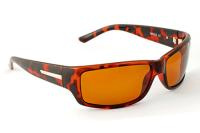 Очки Nautilus N7702 PL Brown (с чехлом)