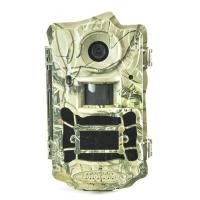 Bolyguard BG 962 X36W