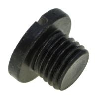 Купить Пробка редуктора Suzuki DF150-300, D10 мм, масло арт. 5512893J10000