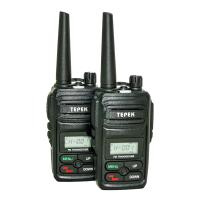 Комплект из двух раций Терек РК-102
