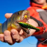 Купить Балансир RAPALA Jigging Rap Color Hook 7 /SMB арт. WH7-SMB