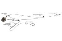 Купить Оснастка фидер.ECOPRO несиметрич.петля с корм.Sport-Feeder 80г. арт. EP3F_FNSPSF80