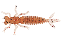 Купить Мягк.приманки LureMax KARAKATITSA 2''/5 см, 007-Ebimiso Oil (8шт) арт. LSKK2-08-007
