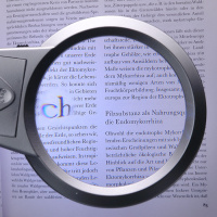 Купить Лупа 15119-В арт. 23306