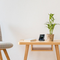 Купить Гигрометр Bresser Air Quality Smile с датчиком CO2, серый арт. 78439