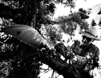 Купить Мачете Gerber Machete Clearpath (31-003155) арт. 31-003155