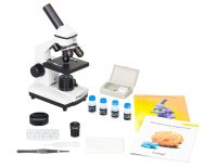 Купить Микроскоп Levenhuk Rainbow 2L PLUS Moonstone\Лунный камень арт. 69041