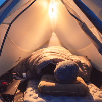 Купить Палатка 2-местная Naturehike Cloud up Pro CNK2350WS020 светло-серый арт. 6927595777008