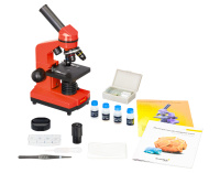 Купить Микроскоп Levenhuk Rainbow 2L Orange\Апельсин арт. 69039