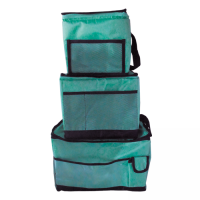 Купить Totem термосумка 10л арт. TTA-058