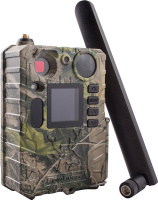 Купить Bolyguard BG 710 M арт. TELTOS BG 710M