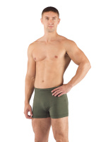 Купить Шорты мужские Adam/ синтетика/ зеленый/ L-XL, ADAM6262LXL арт. ADAM6262LXL