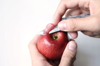 Купить Мультитул Nextool Mini Flagship  NE20053 (KT5022) EDC 10-in-1 Tool арт. NE20053