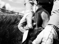 Купить Нож Gerber US Assist S30V, 30-001205 арт. 30-001205