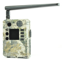 Купить Bolyguard BG 310 M арт. TELTOS BG 310M