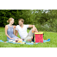 Купить Сумка изотермическая Campingaz Pink Daysy MiniMaxi 19 л арт. 2000013689