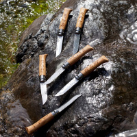 Купить Нож Opinel №8 Animalia, нержавеющая сталь, рукоять дуб, гравировка бизон арт. 002629