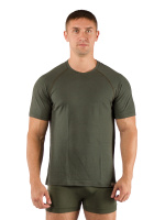 Купить Футболка  мужская Quido/ кор. рукав/ шерсть 160/ зеленый / XXL, Quido6262XXL арт. Quido6262XXL