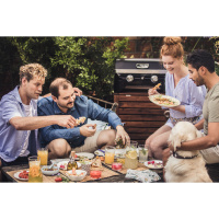 Купить Гриль газовый Campingaz Attitude 2100 LX арт. 2000035660