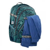 Купить Рюкзак Coocazoo ScaleRale WWF Pine-Track, зеленый арт. 129812