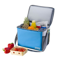 Купить Термосумка Biostal Дискавери (25 л.), синяя арт. TCР-25B