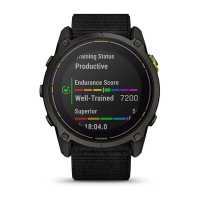 Купить GARMIN ENDURO 3 010-02751-01 арт. 010-02751-01