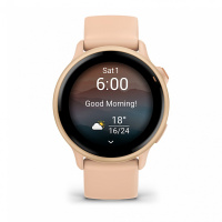 Купить GARMIN VIVOACTIVE 6 Metallic Pink Dawn with Pink Dawn Band 010-02985-03 арт. 010-02985-03