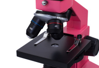 Купить Микроскоп Levenhuk Rainbow 2L NG Rose\Роза арт. 24606