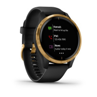 Купить GARMIN VENU черн с золот арт. 010-02173-34