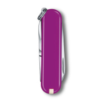 Купить Нож-брелок VICTORINOX Classic SD Colors "Tasty Grape", 58 мм, 7 функций, фиолетовый арт. 0.6223.52G