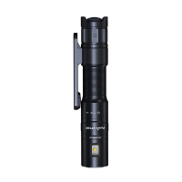 Купить Фонарь Fenix LD12R Dual Light EDC IP68 арт. LD12R