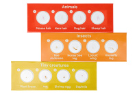 Купить Набор микропрепаратов Discovery «Фауна», 12 шт. арт. 78224