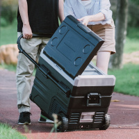 Купить Компрессорный автохолодильник Alpicool ETWW45 арт. 990085