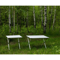 Купить Стол складной Tramp ROLL-80, 80*60*70 см арт. TRF-063