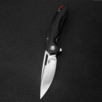 Купить Нож Bestech Ornetta сталь D2, рукоять G10 черная арт. BG50A