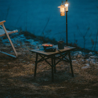 Купить Стол Naturehike CNH22JU050 складной зелёный,6975641885368 арт. 6975641885368