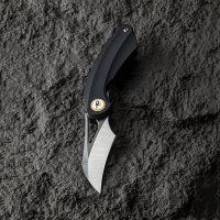 Купить Нож Bestech Bihai сталь 14C28N, рукоять G10 черная арт. BG53A-2