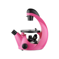 Купить Микроскоп школьный Эврика 40х-320х инвертированный (фуксия) арт. 26399