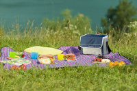 Купить Сумка изотермическая Campingaz FOLD'N COOL 10 л (ЦВЕТ ТЁМНО-СИНИЙ С СЕРЫМ) арт. 2000011723