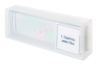 Купить Набор микропрепаратов Discovery Prof DPS 5. «Жизнь в капле воды» арт. 78412