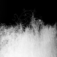 Купить Спальный мешок Naturehike NH20MSD07 U Series U350S, коричневый, 6927595764312 арт. 6927595764312