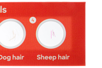 Купить Набор микропрепаратов Discovery «Фауна», 12 шт. арт. 78224