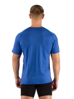 Купить Футболка  мужская Quido/ кор. рукав/ шерсть 160/ синий / XL, Quido5555XL арт. Quido5555XL