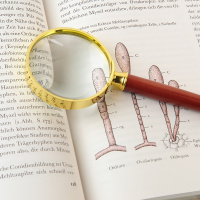 Купить Лупа Veber MB50-1 (6х, 50мм) арт. 26204